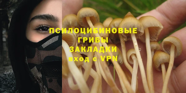 стафф Арсеньев