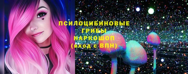стафф Арсеньев