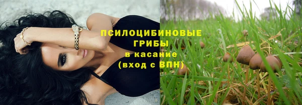 стафф Арсеньев