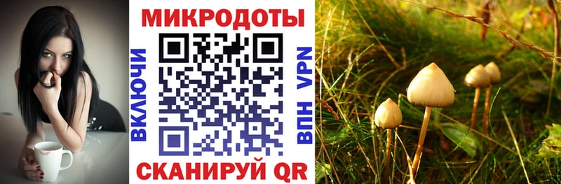 Галлюциногенные грибы мухоморы  mega как войти  Судак 